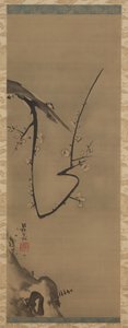 Prunus, függő tekercs, 1700 körül (tinta, selyem) alkotó: Ogata Korin