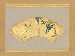 Wisteria, 17-18. század.