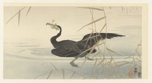 Kormorán hallal alkotó: Ohara Koson