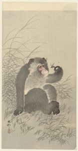 találkoztál rovarral alkotó: Ohara Koson