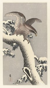 Sas a havas fenyőfán alkotó: Ohara Koson