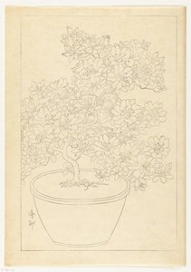 Virágzó azálea cserépben alkotó: Ohara Koson