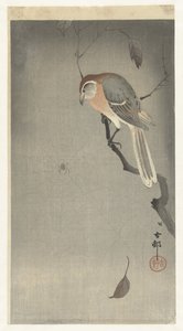Bivalyfejű sikló és pók alkotó: Ohara Koson