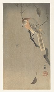 Bivalyfejű sikló és pók alkotó: Ohara Koson