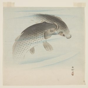 Ponty (Koi) (színes fanyomat) alkotó: Ohara Koson