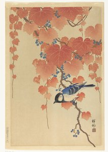 A széncinege Paulownia ága alkotó: Ohara Koson