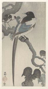 Szarka a fa ágán alkotó: Ohara Koson