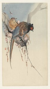 Fácánpár és szilvavirág alkotó: Ohara Koson