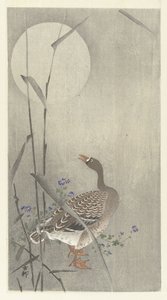 Liba teliholdkor alkotó: Ohara Koson