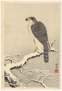 Hawk a fenyőfa havas ágán alkotó: Ohara Koson