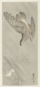 Goshawk vadásznyúl alkotó: Ohara Koson