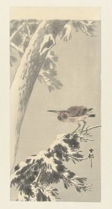 Indiai éjszakai gém a havas fa ágán alkotó: Ohara Koson
