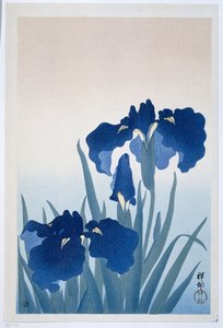 Íriszek alkotó: Ohara Koson