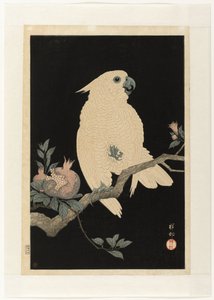 Kakadu gránátalmával alkotó: Ohara Koson