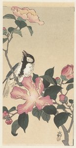 Széncinege ágon, rózsaszín virágokkal alkotó: Ohara Koson