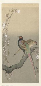 Fácán pár és cseresznyevirág alkotó: Ohara Koson