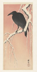 Varjú a havas ágon. alkotó: Ohara Koson