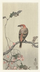 Keresztcsőrű a fa ága alkotó: Ohara Koson