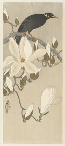 Myna a Magnólia ágon alkotó: Ohara Koson