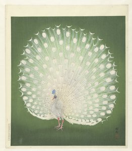 Páva alkotó: Ohara Koson