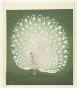 Páva alkotó: Ohara Koson
