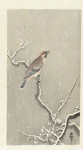 Viaszszárny a havas ágon alkotó: Ohara Koson