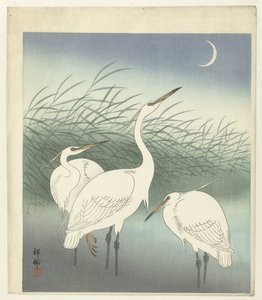 Gémek sekély vízben alkotó: Ohara Koson