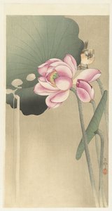 Songbird és Lotus alkotó: Ohara Koson