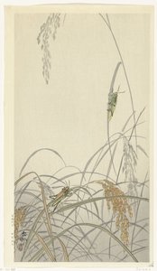 Szöcskék a rizsnövényeken alkotó: Ohara Koson