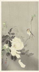 Nyelj bazsarózsával alkotó: Ohara Koson