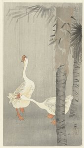 Tamme az esőben alkotó: Ohara Koson