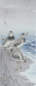 Három homokozó a vízparton, a nád előtt (színes fatömbnyomat) alkotó: Ohara Koson