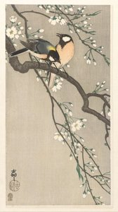 Mellek a cseresznyeágon alkotó: Ohara Koson