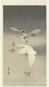 Két galamb hulló ginkgo levelekkel alkotó: Ohara Koson