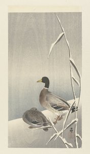Két kacsa a havas nád felett alkotó: Ohara Koson