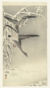 Két fehérhomlokú liba a havas tájon alkotó: Ohara Koson