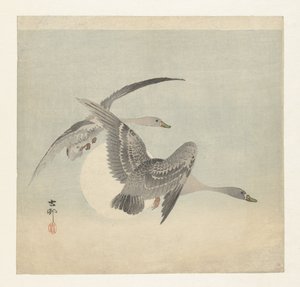 Két fehérhomlú lúd repül alkotó: Ohara Koson