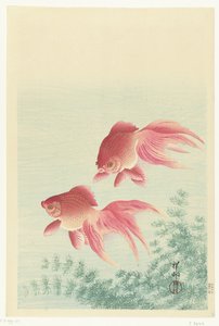 Két fátyolfarkú aranyhal alkotó: Ohara Koson
