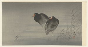 Két Moorhen alkotó: Ohara Koson