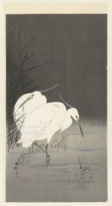 Két kócsag a nádasban alkotó: Ohara Koson