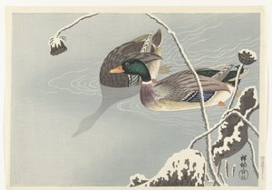 Két tőkés réce egy hóval borított lótusz közelében alkotó: Ohara Koson