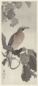 Flamand szajkó a fa ágán alkotó: Ohara Koson