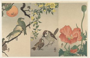 Madarak és növények alkotó: Ohara Koson