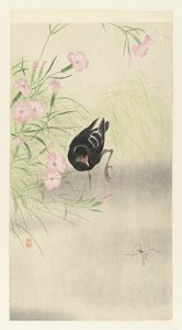 Moorhen a virágos növény alkotó: Ohara Koson
