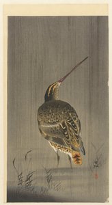 Szalonka az esőben alkotó: Ohara Koson