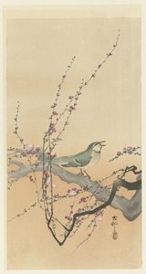 Énekesmadár és szilvavirág. alkotó: Ohara Koson