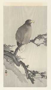 Fehérfarkú sas ágon alkotó: Ohara Koson