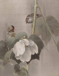 Cotton Rose Mallows in the Rain, kb. 1891-92. alkotó: Okada Baison