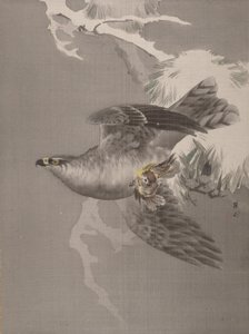 Hawk egy kis madarat tart, kb. 1891-92. alkotó: Okada Baison