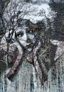 Téli portré negatívban, 2021(digitális vegyes technika) alkotó: Olivia Gozzano